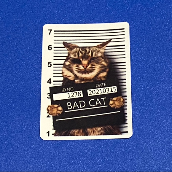 Other - 🎉 10/$10 New Animal Stickers - Bad Cat Mugshot Animal Stickers
